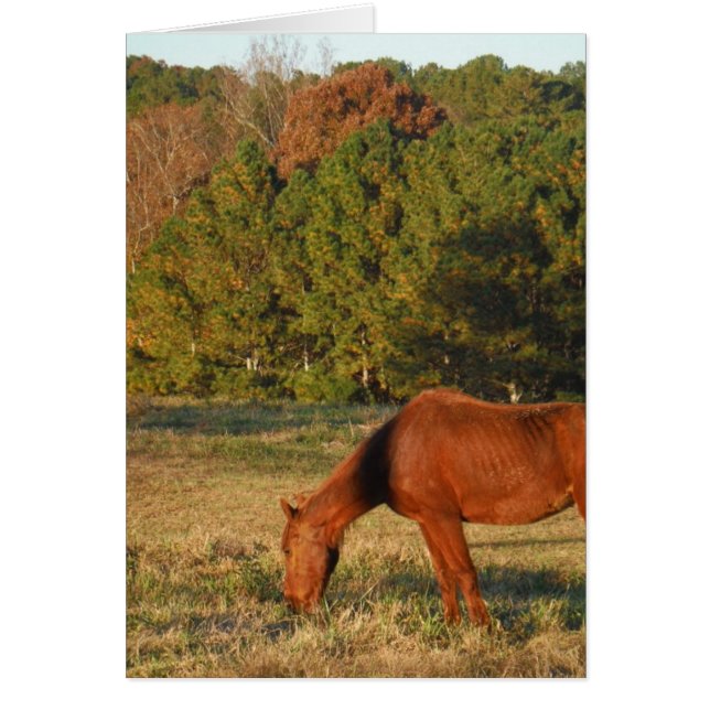 Braunes Pferd mit Pinienbäumen (Vorne)