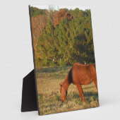 Braunes Pferd mit Pinienbäumen Fotoplatte (Seite)