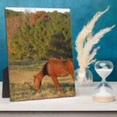 Braunes Pferd mit Pinienbäumen Fotoplatte (Seite)