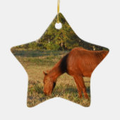 Braunes Pferd mit Pinienbäumen Keramikornament (Vorne)