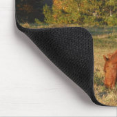 Braunes Pferd mit Pinienbäumen Mousepad (Ecke)