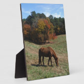 Braunes Pferd mit Sturmbäumen Fotoplatte (Seite)