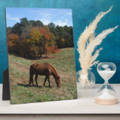 Braunes Pferd mit Sturmbäumen Fotoplatte (Seite)