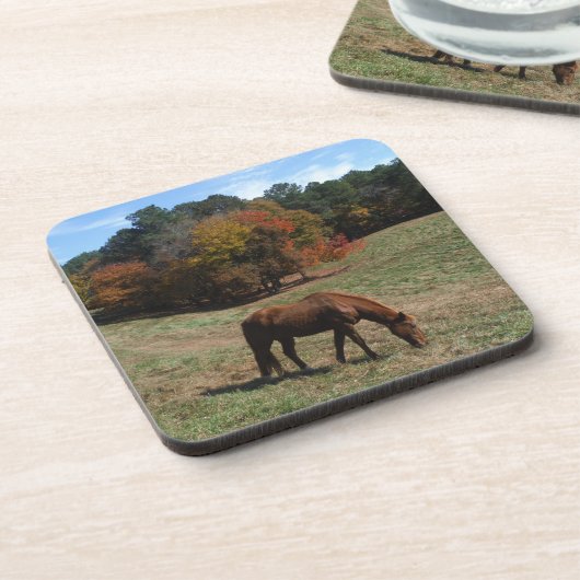 Braunes Pferd mit Sturmbäumen Getränkeuntersetzer (Linke Seite)