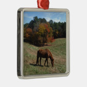 Braunes Pferd mit Sturmbäumen Silbernes Ornament (Rechts)