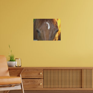 Braunes Pferd mit weißer Gesichtszeichnung Fotogra Poster