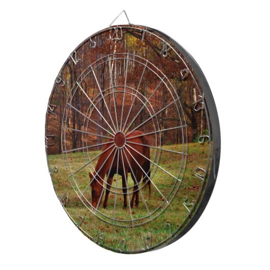 Braunes Pferd mit weißer Nase an der Holzkante Dartscheibe (Vorderseite rechts)