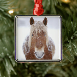 Braunes Pferd Stehend in Schneefeld Nah hoch. Ornament Aus Metall
