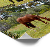 Braunes Pferdeweiden mit gleichem Bild; Poster (Ecke)