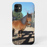 Braunes Pony Türkis Himmel