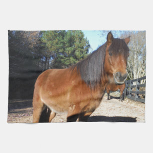Braunes Pony Türkis Himmel Geschirrtuch