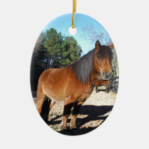 Braunes Pony Türkis Himmel Keramik Ornament