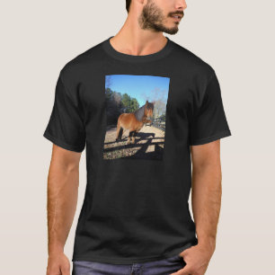 Braunes Pony Türkis Himmel T-Shirt