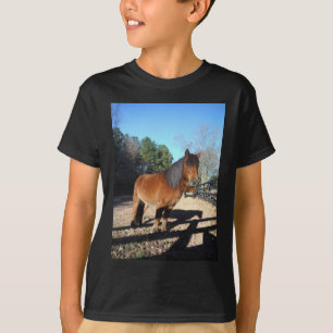 Braunes Pony Türkis Himmel T-Shirt