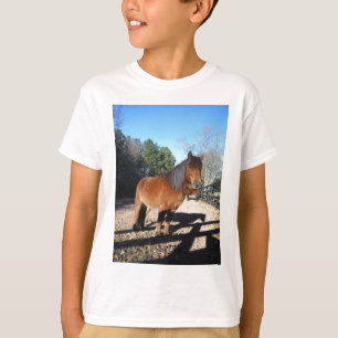 Braunes Pony Türkis Himmel T-Shirt