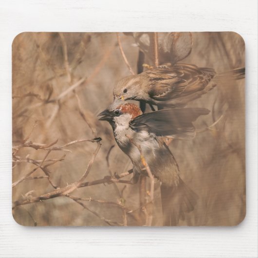 Braunes Sperlingsvögel Rustikale Waldlandschaft Wi Mousepad (Vorne)