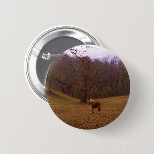 Braunes und blondes Pferd auf einem Feld Button (Vorne & Hinten)