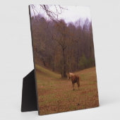 Braunes und blondes Pferd auf einem Feld Fotoplatte (Seite)