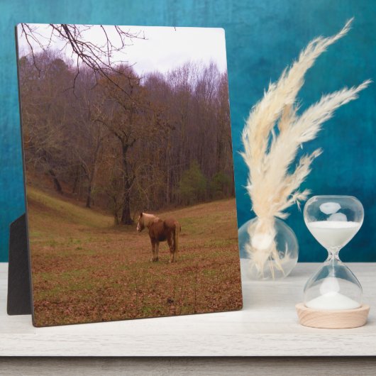 Braunes und blondes Pferd auf einem Feld Fotoplatte (Seite)