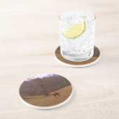 Braunes und blondes Pferd auf einem Feld Sandstein Untersetzer (Seite)