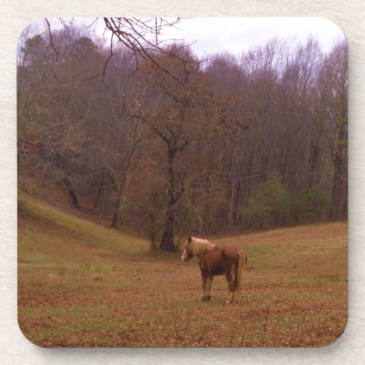 Braunes und blondes Pferd auf einem Feld Untersetzer (Vorderseite)