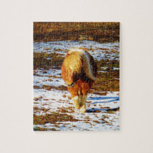 Braunes und cremefarbenes Miniaturpferd im Schnee. Puzzle