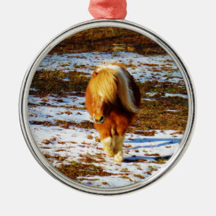 Braunes und cremefarbenes Miniaturpferd im Schnee. Silbernes Ornament