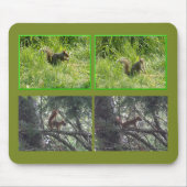 Braunes und rotes Eichhörnchen-Mauspad Mousepad (Vorne)