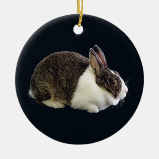 Braunes und weißes holländisches Rabbit Keramik Ornament (Vorne)