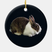 Braunes und weißes holländisches Rabbit Keramik Ornament (Hinten)