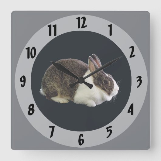 Braunes und weißes holländisches Rabbit Quadratische Wanduhr (Vorderseite)