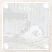 Braunes und weißes Kaninchen auf dem Bauernhof Glasuntersetzer (Rückseite)