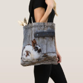 Braunes und weißes Kaninchen auf dem Bauernhof Tasche (Von Nahem)