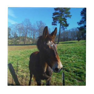 Braunes und weißes Maultier Fliese