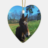 Braunes und weißes Maultier Keramikornament (Links)