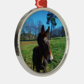 Braunes und weißes Maultier Silbernes Ornament (Rechts)