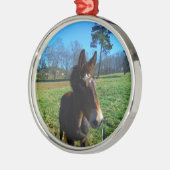 Braunes und weißes Maultier Silbernes Ornament (Links)