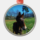 Braunes und weißes Maultier Silbernes Ornament (Vorne)