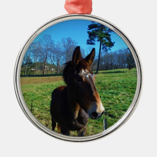 Braunes und weißes Maultier Silbernes Ornament (Vorne)