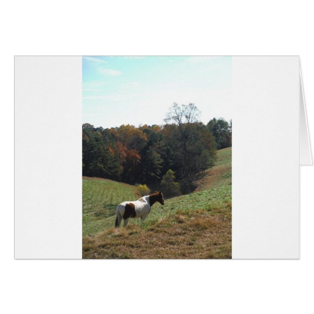 Braunes und weißes Pferd im Herbstteich (Vorderseite (Horizontal))