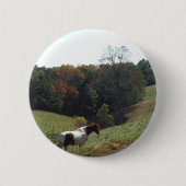 Braunes und weißes Pferd im Herbstteich Button (Vorderseite)