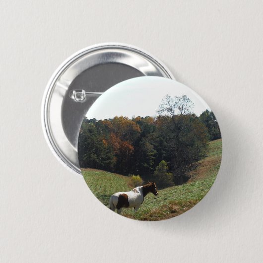 Braunes und weißes Pferd im Herbstteich Button (Vorne & Hinten)