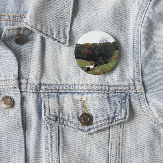 Braunes und weißes Pferd im Herbstteich Button (Beispiel)