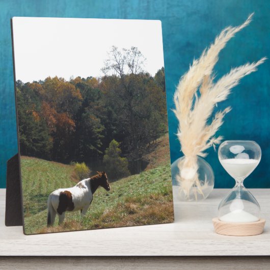 Braunes und weißes Pferd im Herbstteich Fotoplatte (Seite)