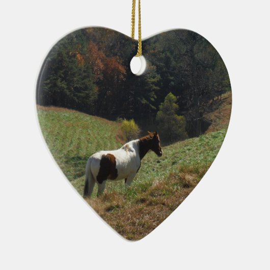 Braunes und weißes Pferd im Herbstteich Keramikornament (Rechts)