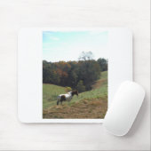Braunes und weißes Pferd im Herbstteich Mousepad (Mit Mouse)