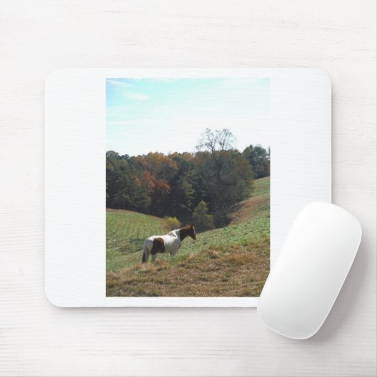 Braunes und weißes Pferd im Herbstteich Mousepad (Mit Mouse)