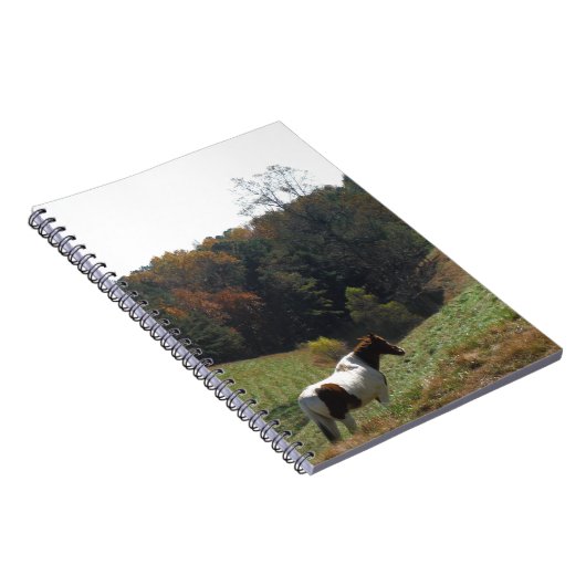 Braunes und weißes Pferd im Herbstteich Notizblock (Rechte Seite)