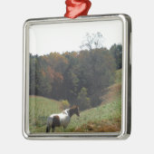 Braunes und weißes Pferd im Herbstteich Ornament Aus Metall (Links)