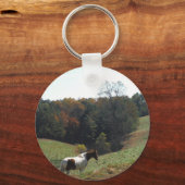 Braunes und weißes Pferd im Herbstteich Schlüsselanhänger (Vorderseite)